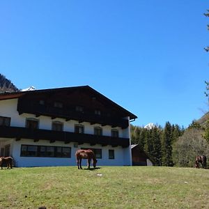 Hotel Pension Alpenrose Sankt Sigmund im Sellrain Exterior photo