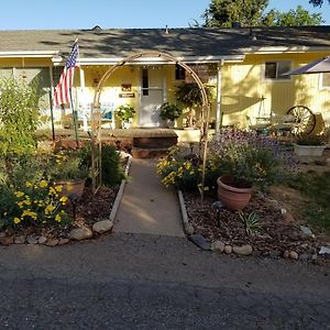 Bed and Breakfast Yosemite Plaisance Bed & Breakfast Mariposa Exterior photo