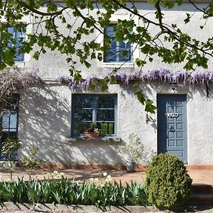 Bed and Breakfast Le Tilleul De Ray Ray-sur-Saone Exterior photo