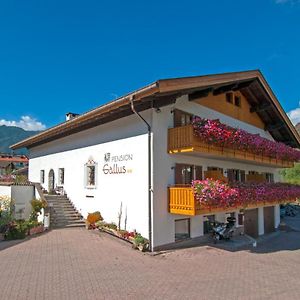 Bed and Breakfast Pension Gallus Latsch Exterior photo