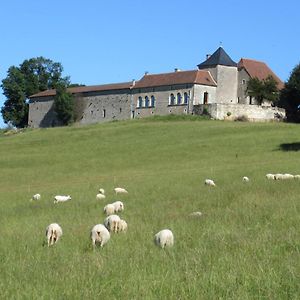 Bed and Breakfast Nature Et Piscine Au Sommet Du Perigord Tourtoirac Exterior photo