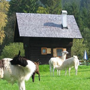 Hütte zum Verlieben Gurk Exterior photo