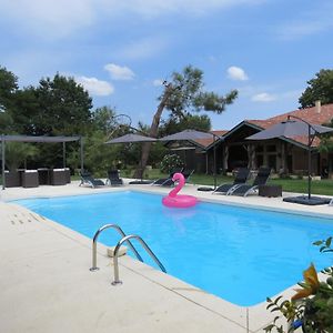 Bed and Breakfast Les Terrasses Des Mimosas Caumont-sur-Garonne Exterior photo