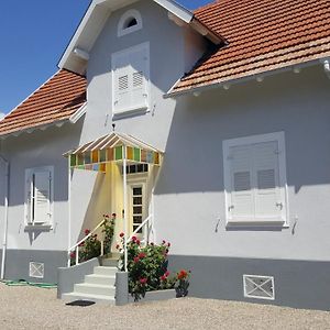 Bed and Breakfast Au Berceau Du Loup Agile Offendorf Exterior photo