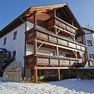 Haus Haidweg - Ferienwohnungen in Haidmühle im Dreiländereck DE-CZ-AT Exterior photo