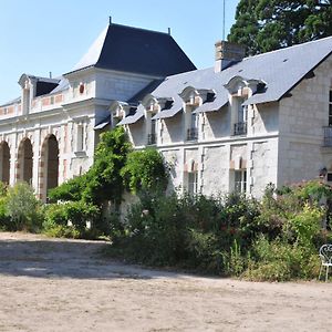 Ferienwohnung La Terrasse De L'Orangerie Du Chateau - Art Nouveau - Gite 2 Personnes Brain-sur-Allonnes Exterior photo