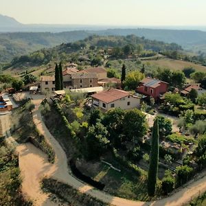 Bed and Breakfast Corte Buenavista Magliano Sabina Exterior photo