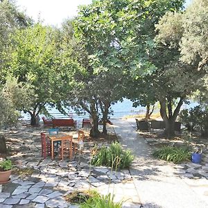 Ada-Art Guesthouse Design Rooms Next To Beach Marmara-Insel Exterior photo
