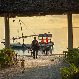 Big Blu Mafia Island Dive Resort Utende Exterior photo