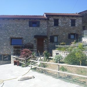 Bed and Breakfast Orto Dei Semplici Farini d'Olmo Exterior photo