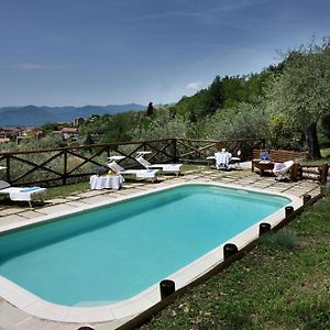 Villa Belli - Luxury Villa With Saltwater Swimmingpool Agnino Exterior photo