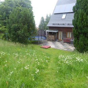 Haus Bergwiese - für Naturfreunde, Familien, Wanderer Gehlberg Exterior photo