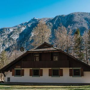 Tuba Apartments Bohinj Exterior photo