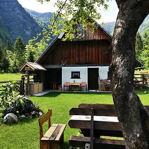 Villa Hiska Rutar Valley Voje Studor v Bohinju Exterior photo