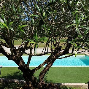 Hotel Chambre Saint Emilion - Le Clos D'Antan Les Artigues-de-Lussac Exterior photo