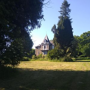 Les Gites Du Chateau De Passille Parigné Exterior photo