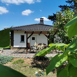 Villa Ferienhaus Hase Bomsdorfer Hof Grafenhainichen Exterior photo