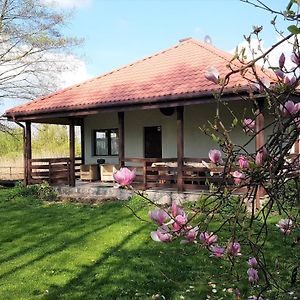 Villa Domek W Nabo Załuski Exterior photo