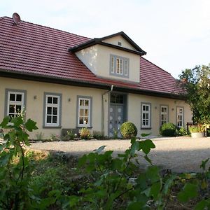 Hotel Haus Brunnenkunst Arnstadt Exterior photo