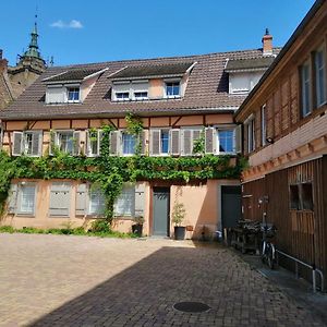 Ferienwohnung La Cour de Berthe Est Colmar Exterior photo