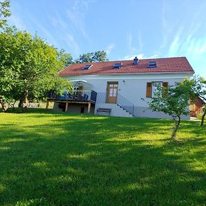 Villa Ferienhaus zur Opernsängerin Hartberg Exterior photo