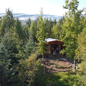 Villa Bakkakot 1 - Cozy Cabins In The Woods Akureyri Exterior photo