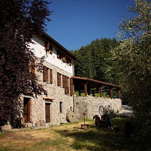 Villa Mulino Vecchio Minucciano Exterior photo