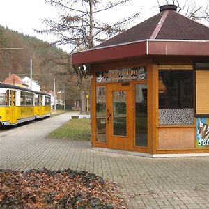 Ferienwohnung Königstein Bad Schandau Exterior photo