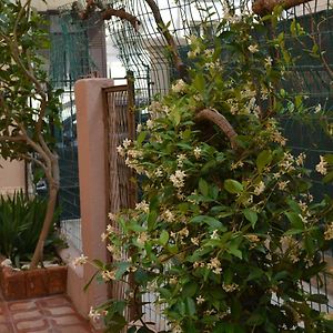 Bed and Breakfast Mediterraneo Reggio Calabria Exterior photo