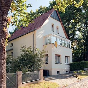 Hotel Pension Rosengarten Sangerhausen Exterior photo