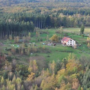 Bed and Breakfast "La Belle Chambre" Dans Une Ferme Avec Etang Prive Dans La Region Des Mille Etangs Faucogney-Et-La-Mer Ecromagny Exterior photo