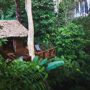 Hotel Our Jungle House - SHA Certified Khao Sok National Park Exterior photo