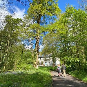 Gasthaus Blackhill Woods Retreat Abbeyleix Exterior photo