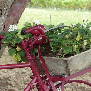 Bed and Breakfast L'Alambic De L'Estuaire Saint-Fort-sur-Gironde Exterior photo