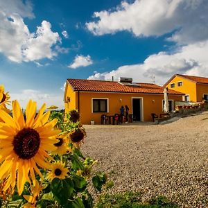 Bed and Breakfast Spazio Natura Castelmezzano Exterior photo