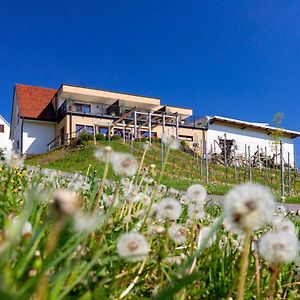 Bed and Breakfast Weingut Perner Ehrenhausen Exterior photo