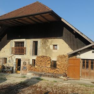 Hotel Chalet Alpin Saint-Offenge-Dessous Exterior photo