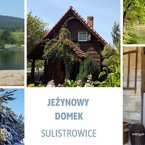 Villa Jezynowy Domek - Sulistrowice Exterior photo