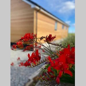 Villa The Gallafield, Self Catering Bungalow , Stornoway Stornoway  Exterior photo