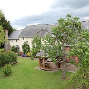 Bed and Breakfast Lowe Farm Pembridge Exterior photo