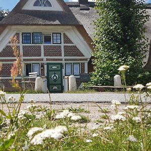 Haus Anna Elbe, Bauernhaus-Ferienwohnungen an der Elbe Hamburg Exterior photo