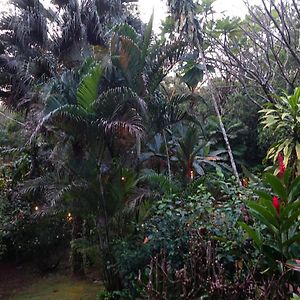 Villa Dos Casitas Ojochal Exterior photo