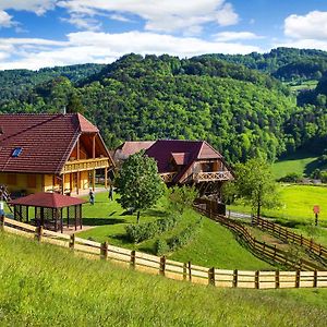 Farm Stay Pirc Laško Exterior photo