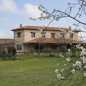 Gasthaus Casa Rural Pilon Del Fraile Oropesa Exterior photo