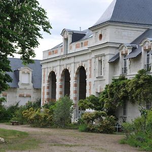 Ferienwohnung L'Orangerie Du Chateau - Le Nid - Gite 2 Personnes Brain-sur-Allonnes Exterior photo