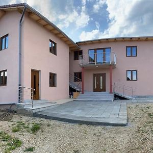 Hotel Casa Bia Cribo Sannicolau De Munte - Bai Termale Săcueni Exterior photo