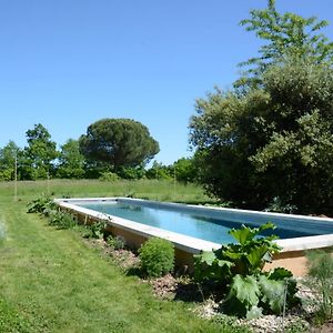 Ferienwohnung Chant Du Buc, Le Galet Marssac-sur-Tarn Exterior photo