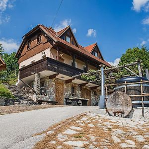 Authentic Countryside Villa With Hot Tub Veliki Kamen Exterior photo
