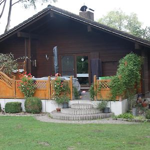 Villa Ferienhaus Buchenblick Ankelohe Exterior photo