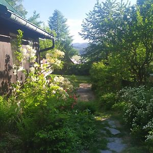 Villa Chata Na Poskle U Lesa S Vyhledem Hutisko Exterior photo